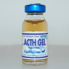 ACTH GEL