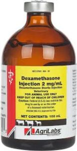 DEXAMETHASONE INJECTION