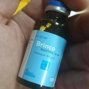 BRINCO – 25 ML